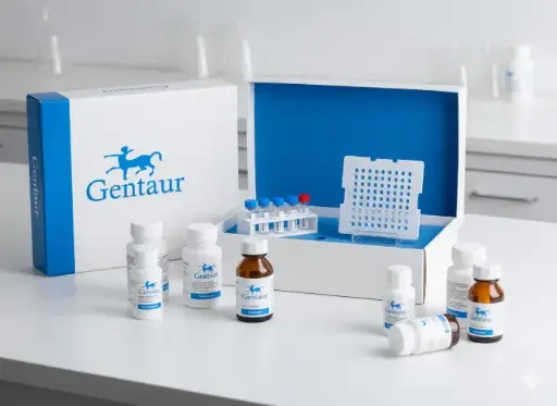 [0322-EXOAB-KIT-1] ExoAb Antibody Test (CD9, CD63, CD81, Hsp70 antibodies, rabbit anti-human) with goat anti-rabbit HRP secondary antibody - 25 ul each