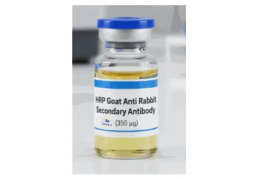 [0356-A12004] HRP Goat Anti Rabbit Secondary Antibody
